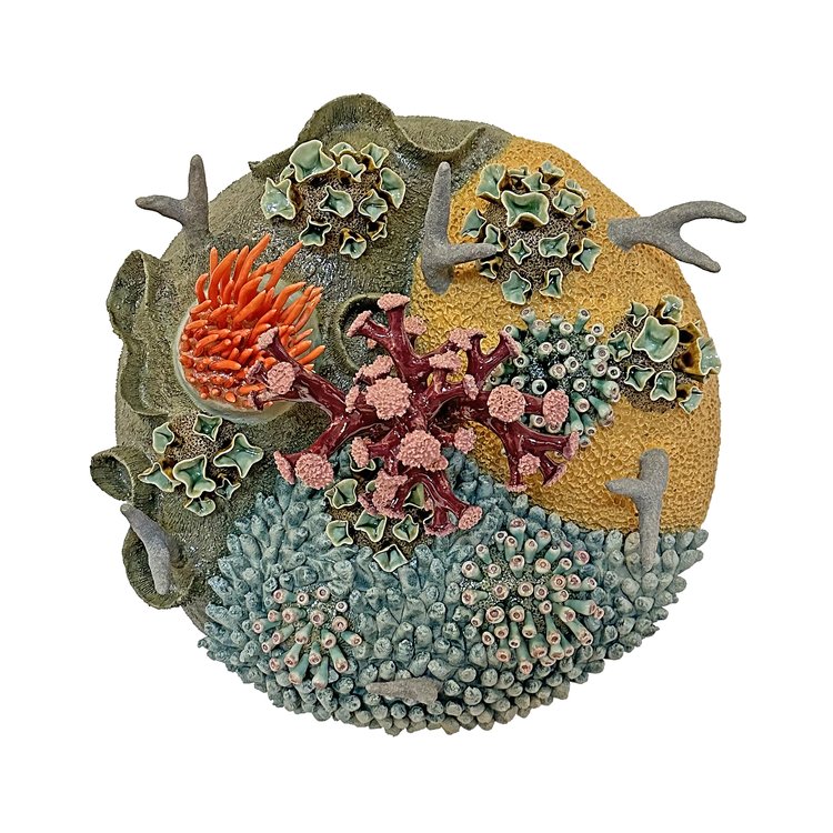 WomensArtForAll's tweet photo. Courtney #Mattison (@courtneycoral) •Coral Triangle 4• #WomensArt #ArtByWomen #WomenArtists https://t.co/GqOs4gBmCS