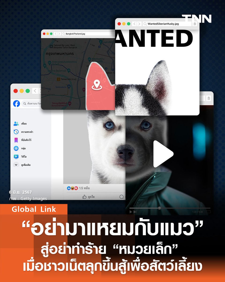 tnnthailand's tweet photo. “อย่ามาแหยมกับแมว” สู่อย่าทำร้าย “หมวยเล็ก” เมื่อชาวเน็ตลุกขึ้นสู้เพื่อสัตว์เลี้ยง

ถอดบทเรียนเมื่อคนโพสต์คลิปทำร้ายสัตว์ เหล่าชาวเน็ตก็พร้อมสู้เพื่อปกป้องเพื่อนร่วมโลก

อ่านเรื่องราวทั้งหมดได้ที่นี่: 
https://t.co/eP4jASsP3T

#GlobalLink #หมวยเล็ก #ไซบีเรียน #หมาไซ https://t.co/sOTjl96FFd