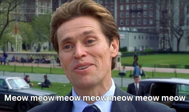 MeowCatHQ's tweet photo. https://t.co/fjxiTaiQFY