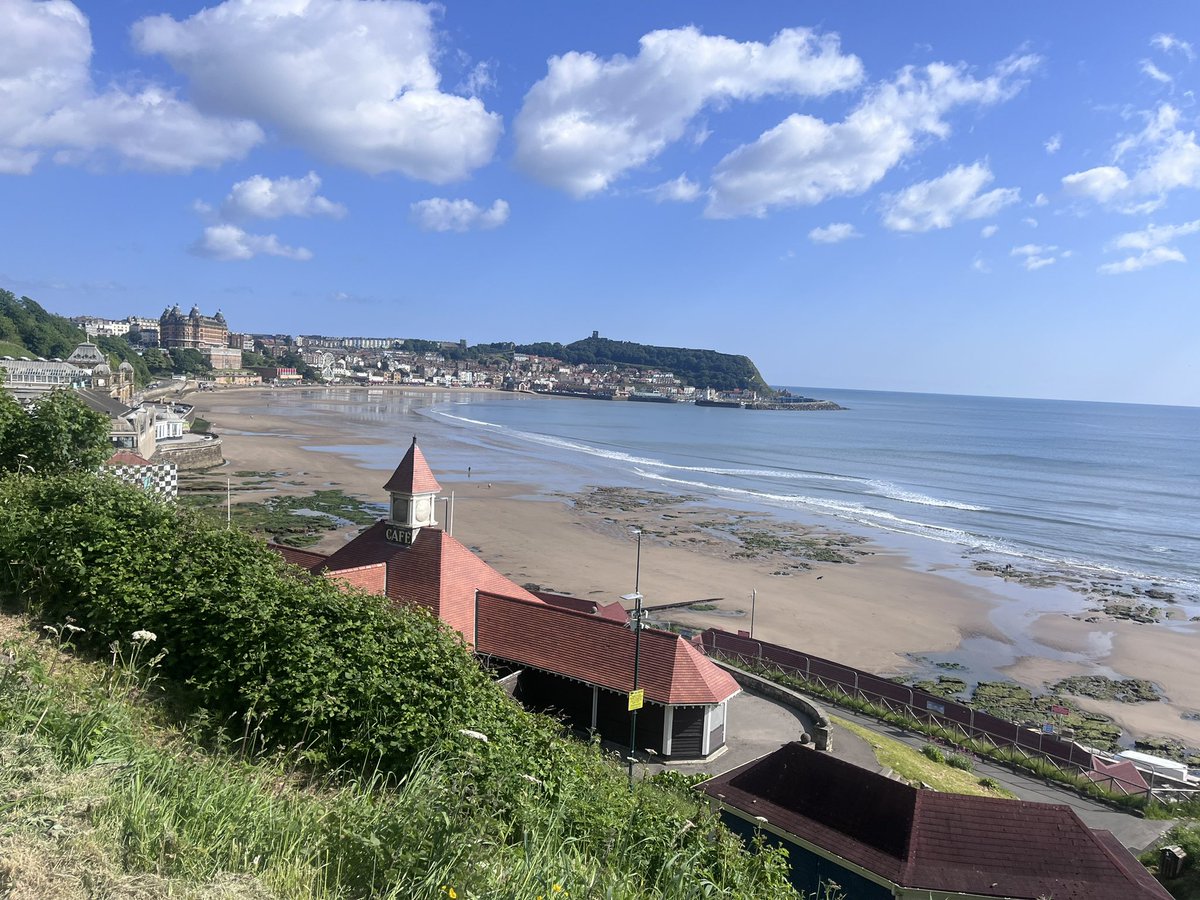 StudentSeasideHomes tweet media