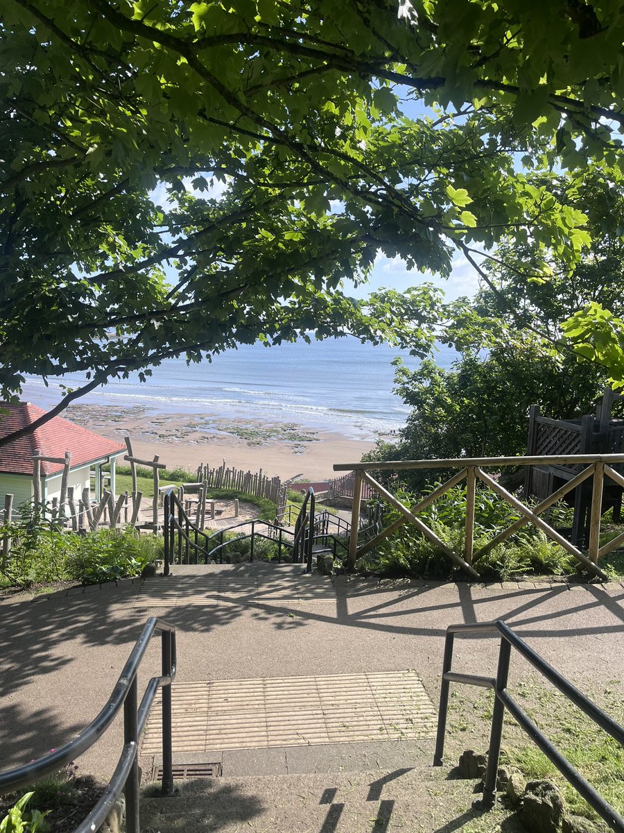 StudentSeasideHomes tweet media