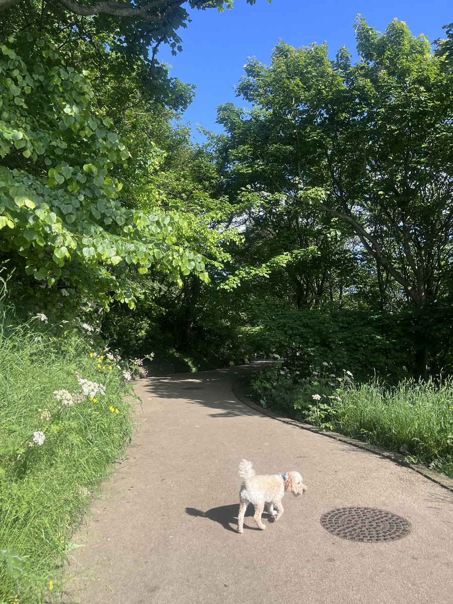 Oh I do like to the beside the seaside!