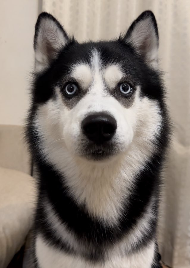 お疲れ様です。
すでにデザイナーには素材をExcelに貼り付けて渡したので問題ありません。
引き続きよろしくお願いいたします。