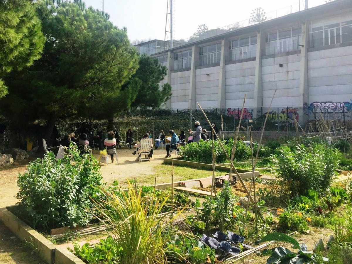 <a href="/Fonttrobada/">Font Trobada</a> 🌿 Avui ens acompanyarà <a href="/PauCardellach/">Pau Cardellach</a>, naturalista i doctor en ciència i tecnologia ambiental, per conèixer aquest hort del barri, mentre descobrim i tastem les plantes silvestres comestibles que hi creixen al voltant. 

🔴 Últimes places!: bit.ly/flora-cultius-…