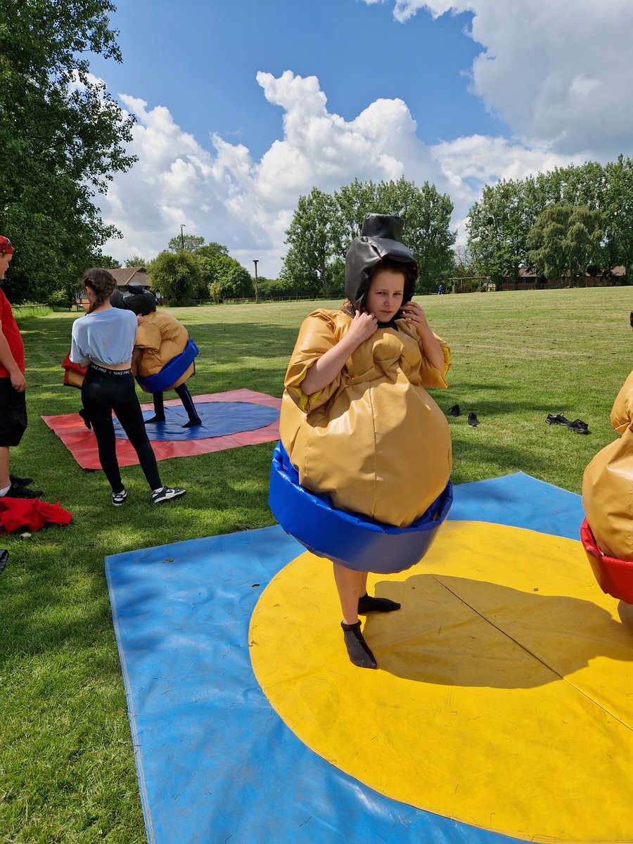 Harold Court Primary tweet media