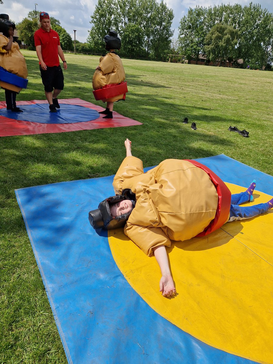 Harold Court Primary tweet media