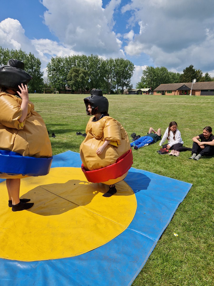 Harold Court Primary tweet media