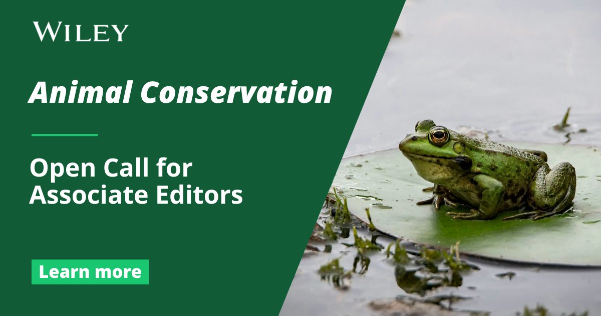 ZSL Science (@zslscience) on Twitter photo 📢 Open call to all conservation biology researchers! Join the editorial board of <a href="/AnimalConserv/">Animal Conservation</a> as an Associate Editor before 25 July!
Applications from outside Europe, Australia and North America are especially welcomed. Find out more: bit.ly/3xfUy5H 📢 Open call to all conservation biology researchers! Join the editorial board of <a href="/AnimalConserv/">Animal Conservation</a> as an Associate Editor before 25 July!
Applications from outside Europe, Australia and North America are especially welcomed. Find out more: bit.ly/3xfUy5H