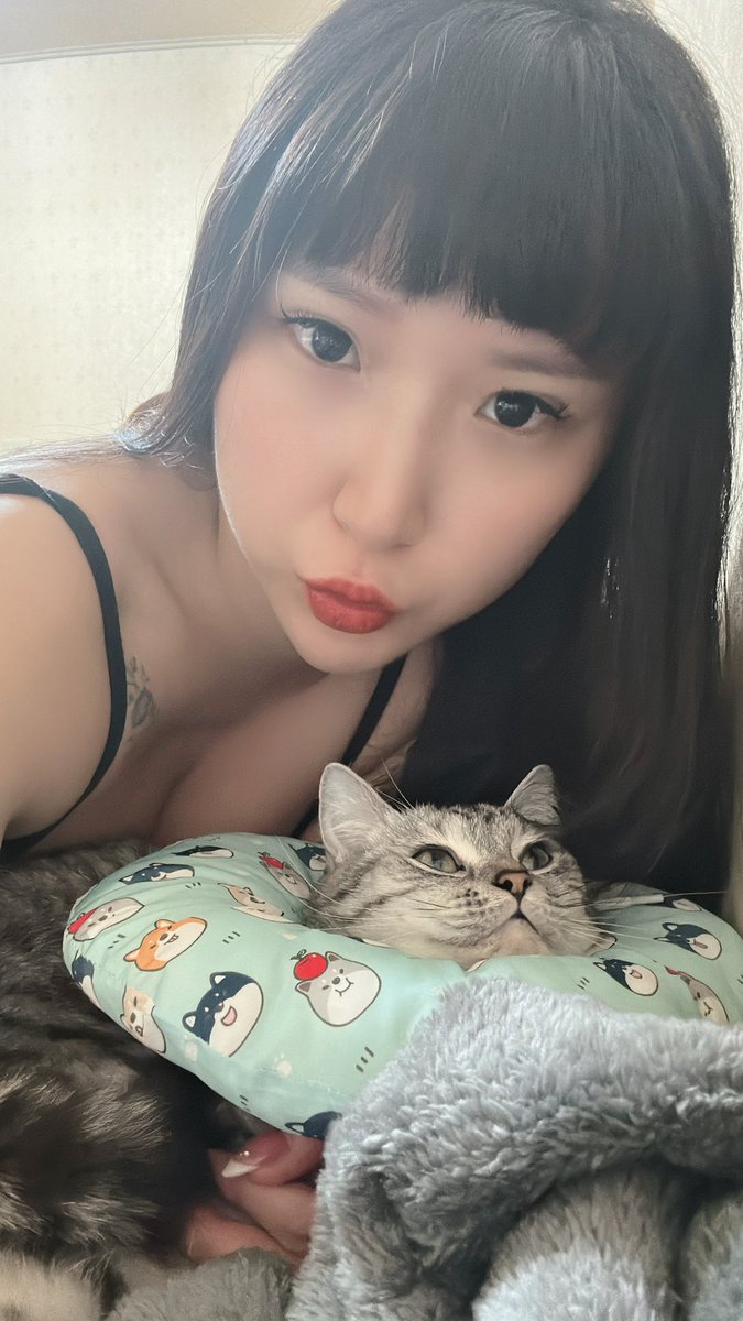 茶茶 tweet media