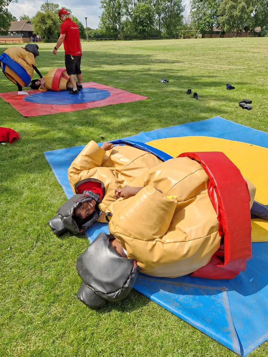 Harold Court Primary tweet media