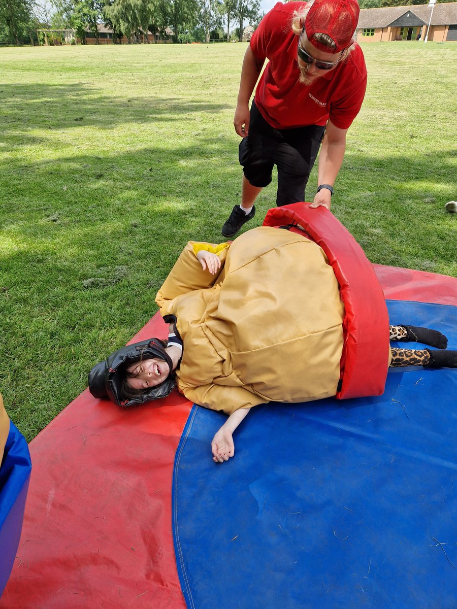 Harold Court Primary tweet media