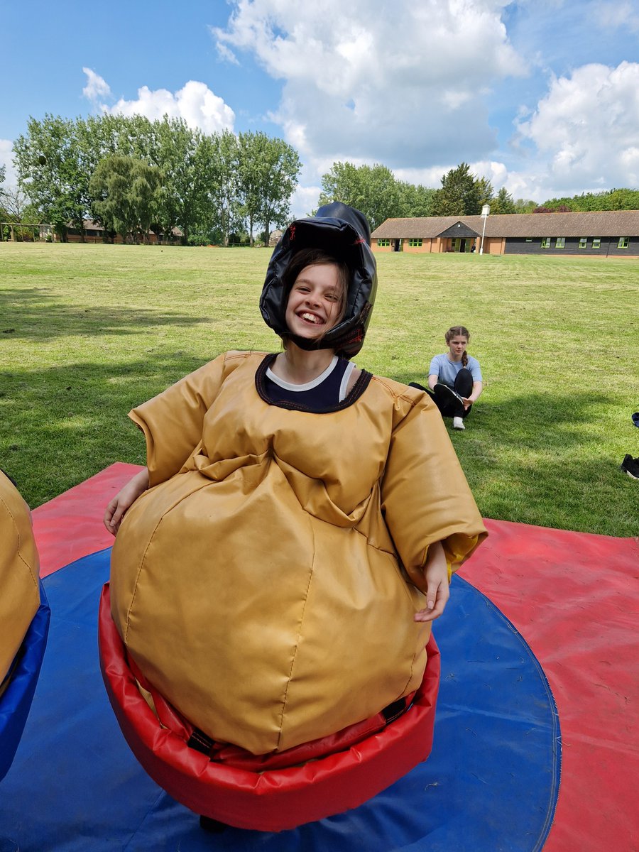 Harold Court Primary tweet media