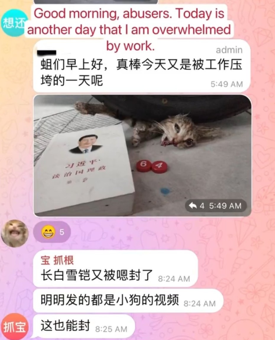 PhaedraXTeddy's tweet image. This is the really wierd part.
Read and Look at 2 photos.
And by the way, being against #AnimalCruelty is not #globalist. Animals don't know what country they were born in. #WithoutBorders as far as #AnimalWelfare goes has zero to do with political agenda, no place on earth