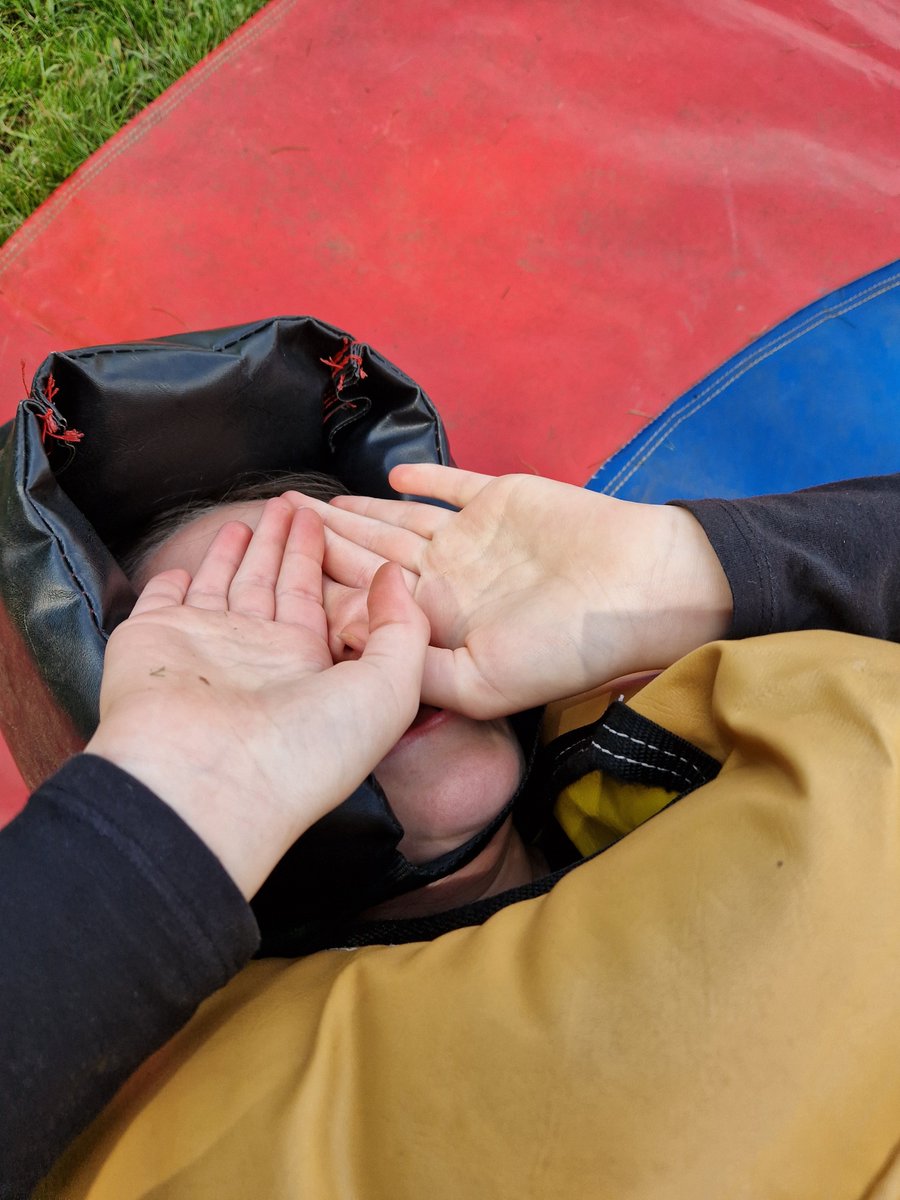 Harold Court Primary tweet media