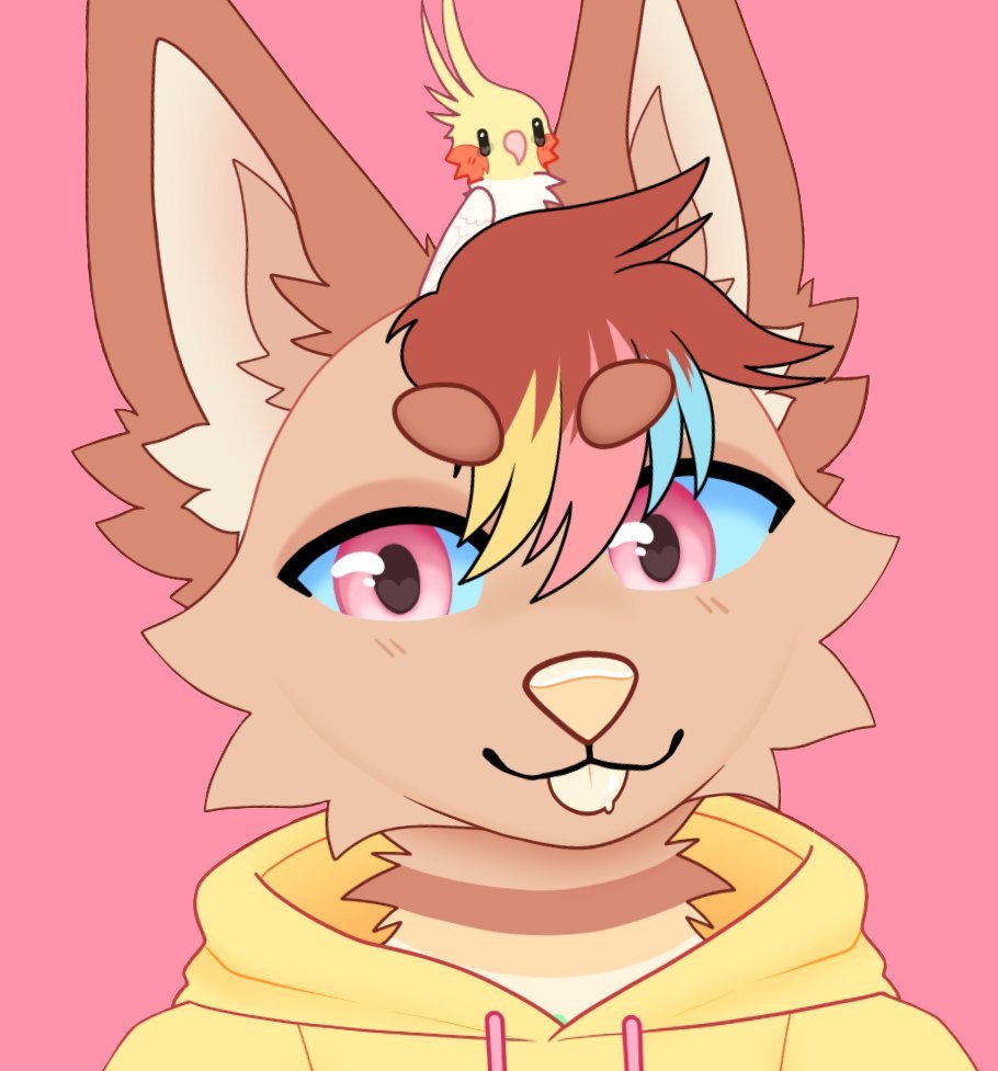 ✨ Faolán ✨️ ( faolan-art.bsky ) tweet media