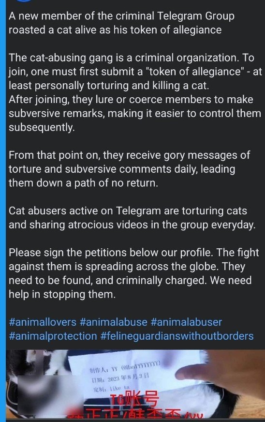 PhaedraXTeddy's tweet image. This is the really wierd part.
Read and Look at 2 photos.
And by the way, being against #AnimalCruelty is not #globalist. Animals don't know what country they were born in. #WithoutBorders as far as #AnimalWelfare goes has zero to do with political agenda, no place on earth