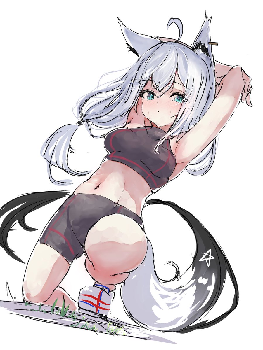 白上フブキ 「#絵フブキストレッチ 」|tazrnのイラスト