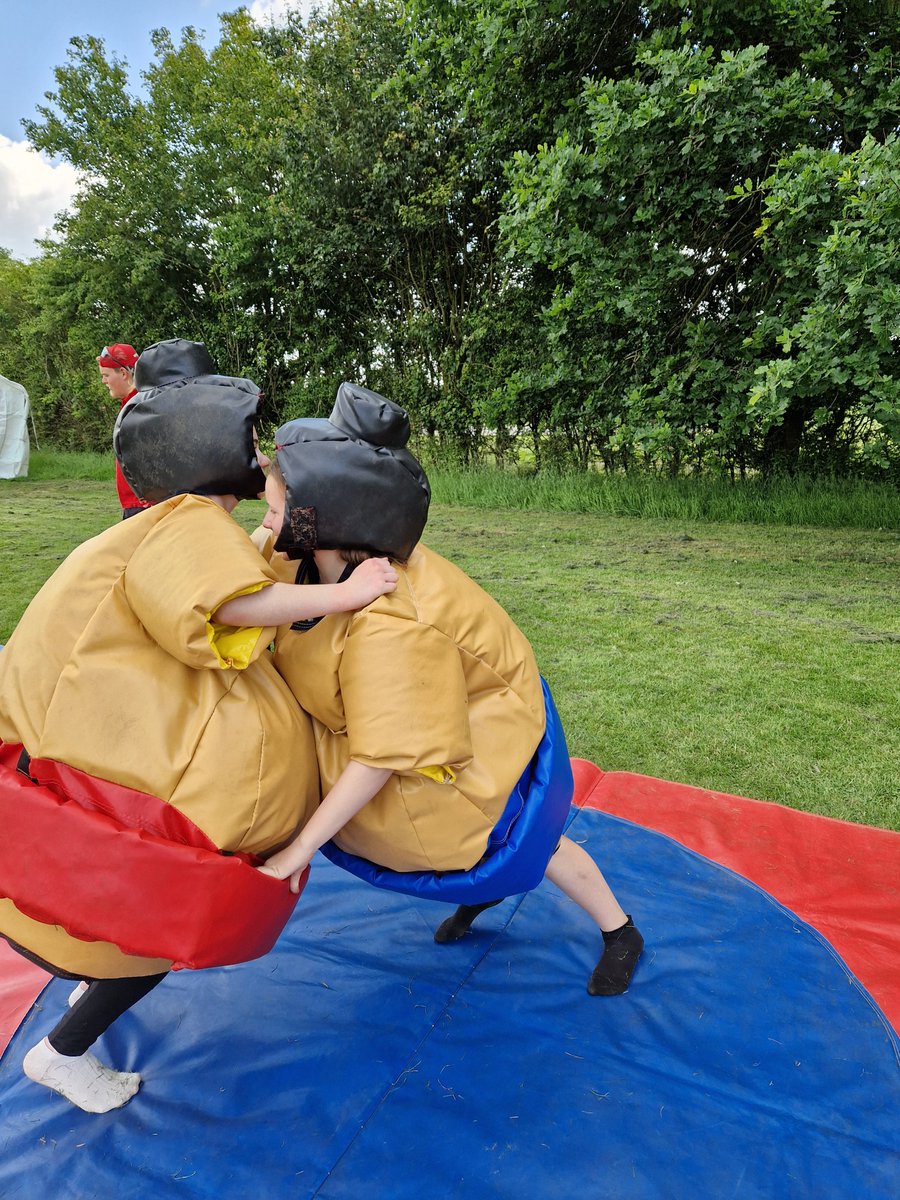 Harold Court Primary tweet media