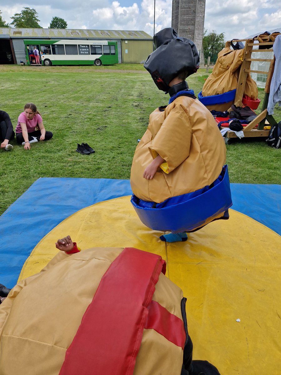 Harold Court Primary tweet media