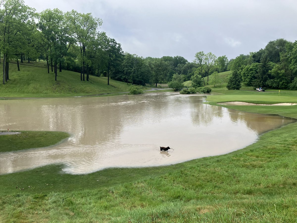 Dan Sliasas tweet media