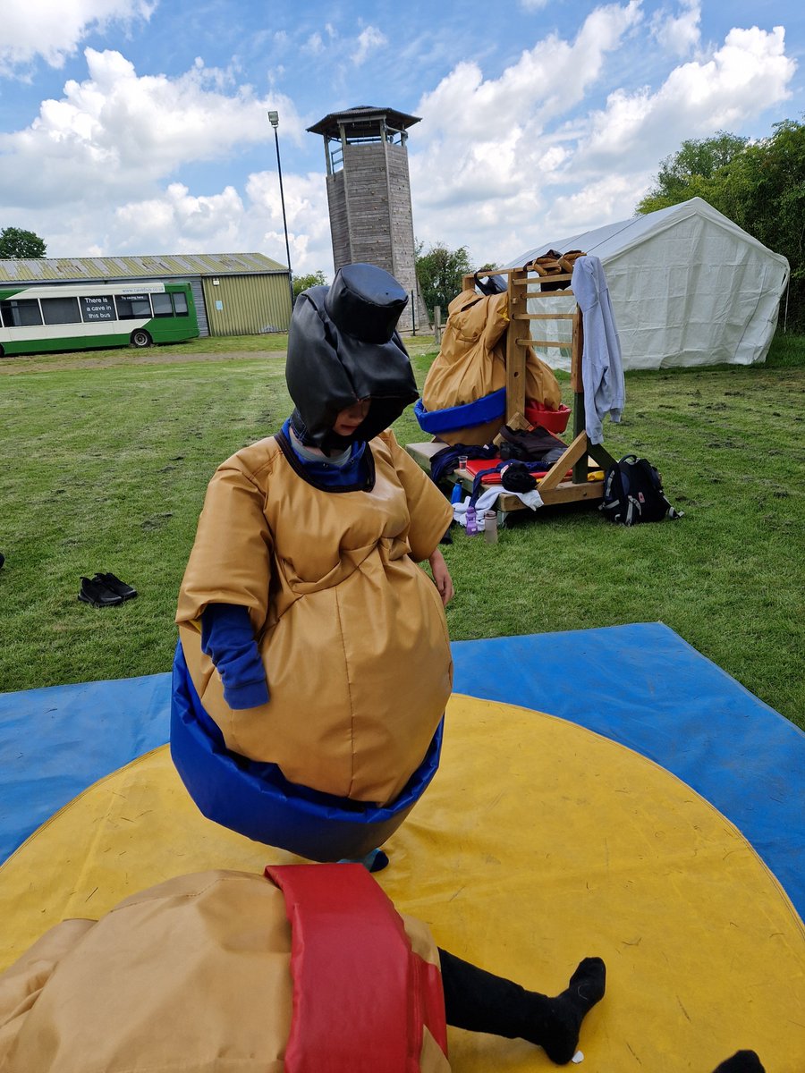 Harold Court Primary tweet media