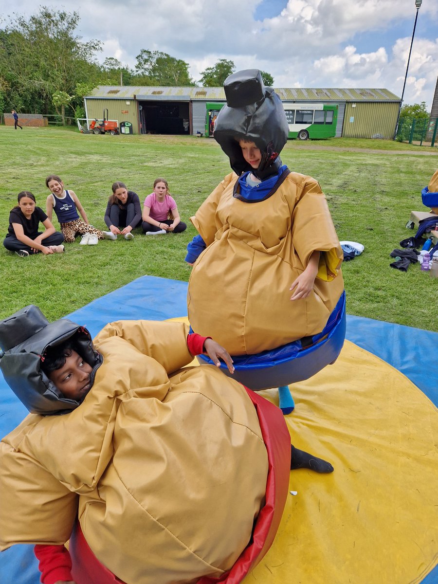 Harold Court Primary tweet media