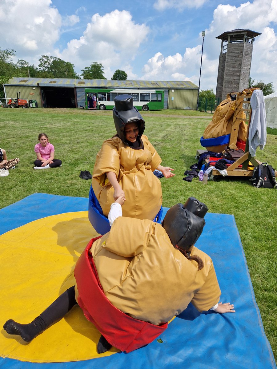 Harold Court Primary tweet media