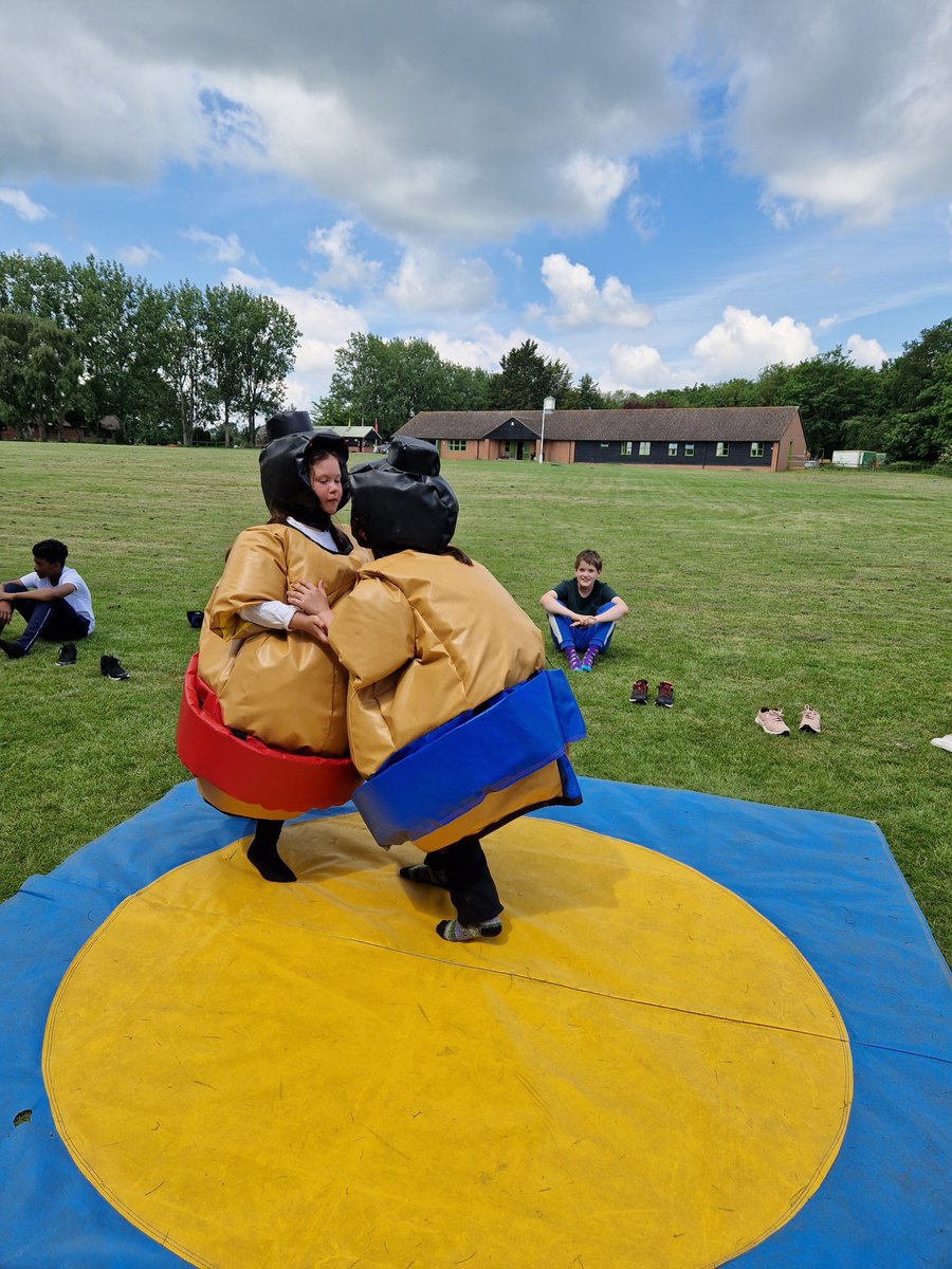 Harold Court Primary tweet media