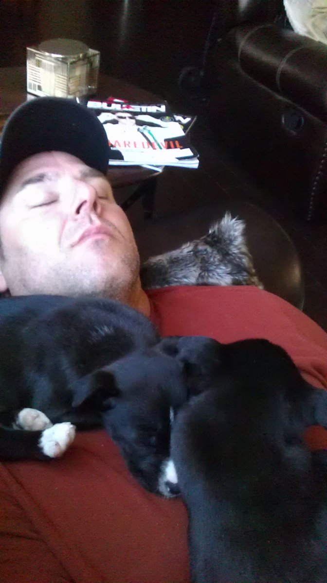 Perry14e's tweet photo. Day 1 - You chose us. Coming home, settling in, frolicking, and then a nap. #RIPShadow ❤️ https://t.co/hgeRE8lv5n