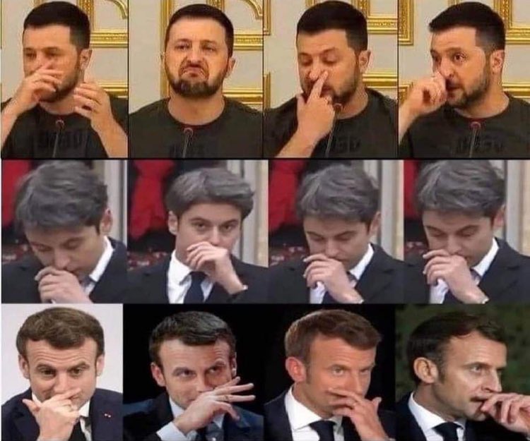 Velaid60 tweet media