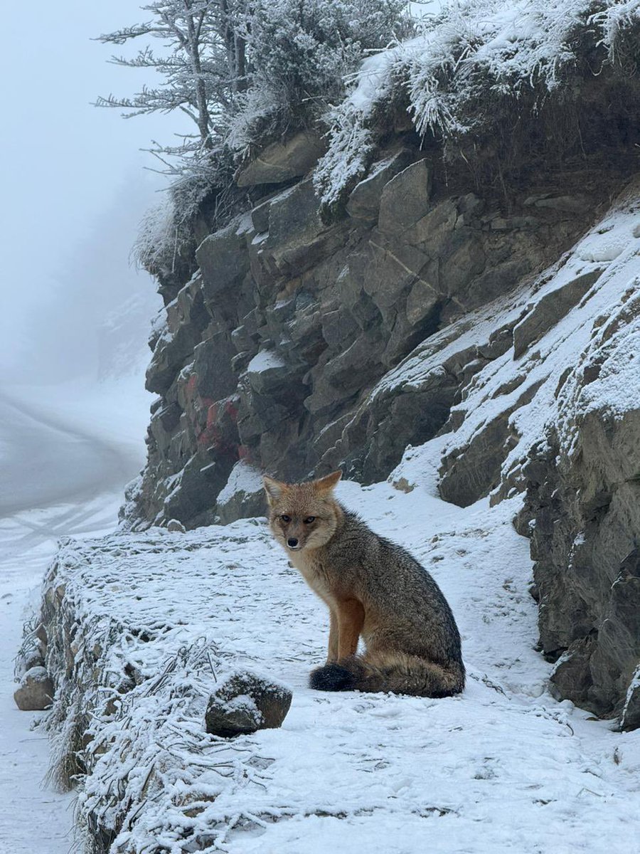 Gaston Crusitta tweet media