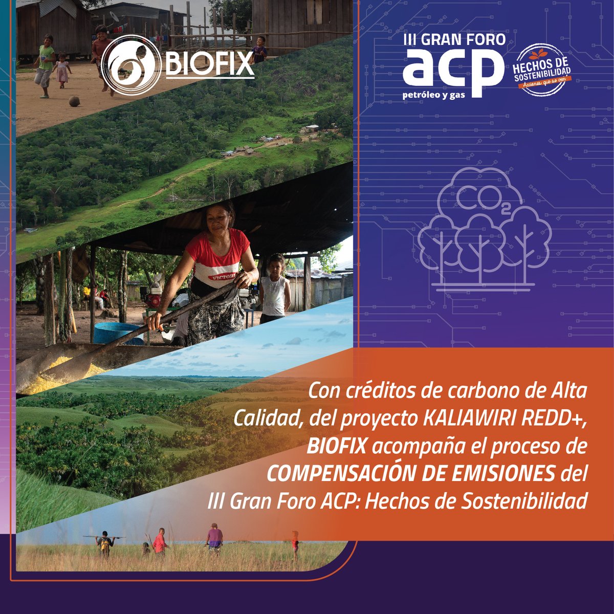 Mediante créditos de carbono de alta calidad del proyecto KALIAWIRI REDD+, el "III Gran Foro ACP: Hechos de Sostenibilidad" está compensando sus emsiones. Este proyecto salvaguarda más de 350 mil hectáreas de bosque e impulsa el desarrollo socioeconomico de 4 mil personas.