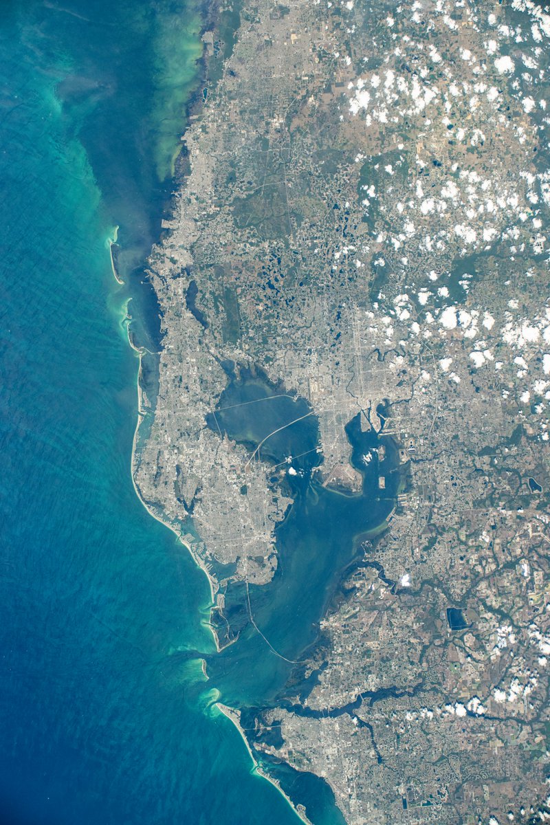 VisitSPC's tweet image. America's Best Beaches looking good from every angle...even from 260 miles up! 📸🌎 #AmericasBestBeaches

📸: @ISS_Research