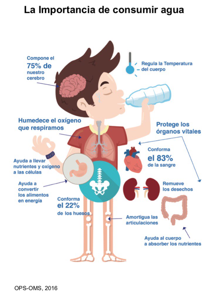 droscarnoguera's tweet photo. 💧 ¿Cuanta agua tomas al día? 

Beber agua es un hábito muy saludable. 

Consume cerca de 2.5 L distribuidos durante el día y el último vaso  2-4h antes de dormir. 

⚠️ Si tienes problemas cardíacos o renales debes consultar cuanta agua es segura para tí. https://t.co/BkAlhYQNqz
