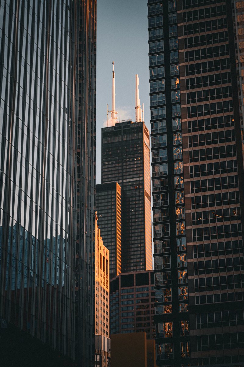 LisaBowmanPhoto's tweet photo. Ⓢⓔⓐⓡⓢ  ⓕⓡⓐⓜⓔⓓ

#chicago #goldenhour #perspective #skyscraper #city #view #architecture #chiloop #searsfromhere #urbanphotography #windycity #framingmagic https://t.co/HpsSVlMrmw