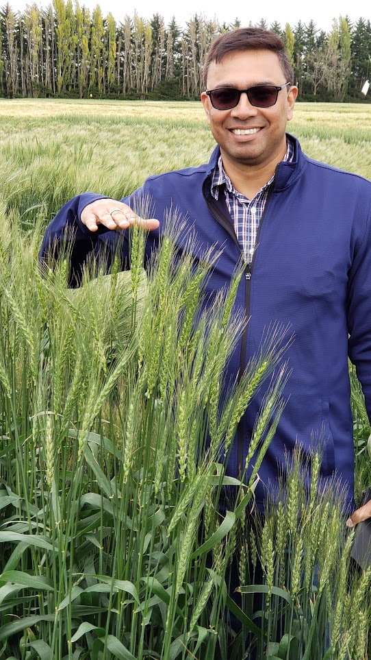 #GCAggie Dr. Santosh Kumar and Dr. Raju Soolanayakanahally teamed up to identify traits in wheat that make it more climate resilient and water efficient. 👨‍🔬 🍞 👨‍🔬 Learn more: ow.ly/1BpC50SaMwt #EnviroWeek #CdnAg