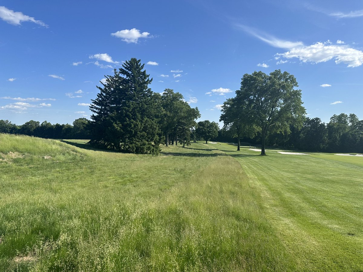Interesting results from Roundup application to certain fescue areas last fall.  You can see the strip we did not spray in November.  In some areas if it wasn’t hard or sheep fescue it was taken out.  Little Bluestem and Broomsedge unaffected.  Could be beneficial over time