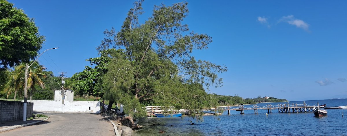 magalicunha's tweet photo. AINDA SOBRE PRAIAS LIVRES:
Caminhando na Praia do Sudoeste, São Pedro da Aldeia/RJ, chego à entrada da famosa Fazenda do Roberto Marinho, q toma a Praia dos Cardeiros. Um muro fecha a entrada para carros mas há obrigação de acesso para pedestres. Imagine com a tal PEC das praias! https://t.co/VcmvX4mKFj