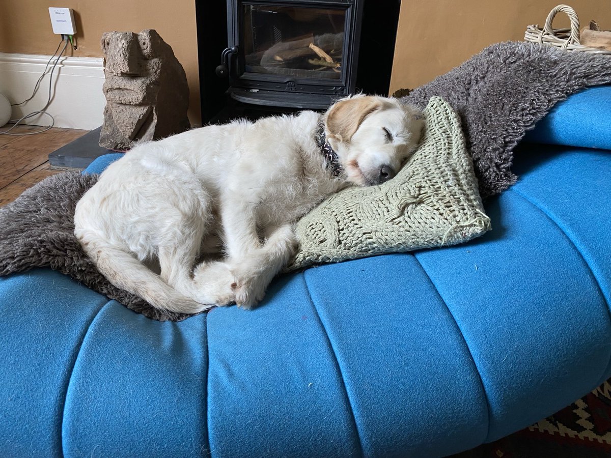 Julian Hector tweet media