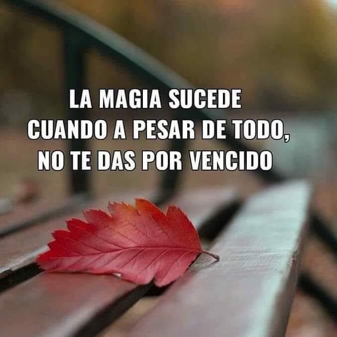 ¡¡Muy buenos
        días mundo X!!!!
Siempre para adelante 🥰🌸
