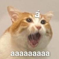 ahhhhhhh why so busy