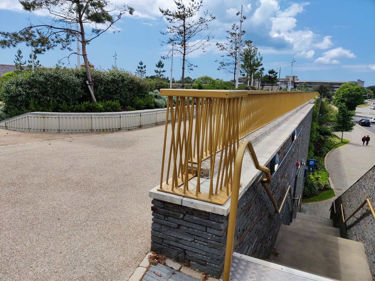 Fran Rolfe tweet media