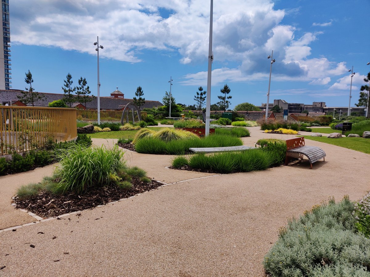 Fran Rolfe (@frolfey) on Twitter photo <a href="/WGRD2024/">World Green Roof Day</a> a quick cycle through Wales largest green roof #WGRD2024. The coastal park, built on top of the multistorey car park part of the <a href="/ArenaSwansea/">Swansea Building Society Arena</a> development with <a href="/SwanseaCouncil/">Swansea Council</a> <a href="/NatResWales/">Cyfoeth Naturiol Cymru | Natural Resources Wales</a> <a href="/WGRD2024/">World Green Roof Day</a> a quick cycle through Wales largest green roof #WGRD2024. The coastal park, built on top of the multistorey car park part of the <a href="/ArenaSwansea/">Swansea Building Society Arena</a> development with <a href="/SwanseaCouncil/">Swansea Council</a> <a href="/NatResWales/">Cyfoeth Naturiol Cymru | Natural Resources Wales</a>