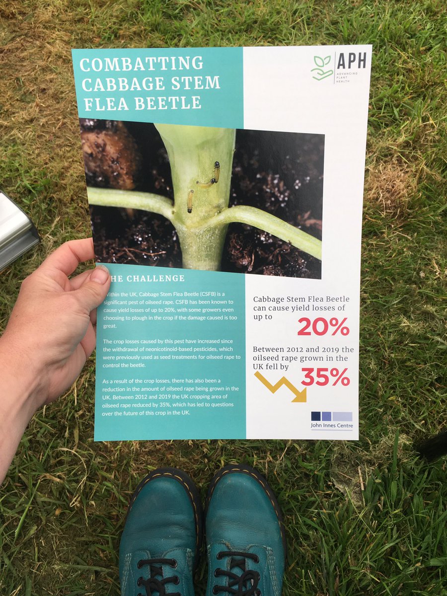 Lovely to see that our <a href="/APH_ISP/">Advancing Plant Health</a> #CSFB flyers match my boots!