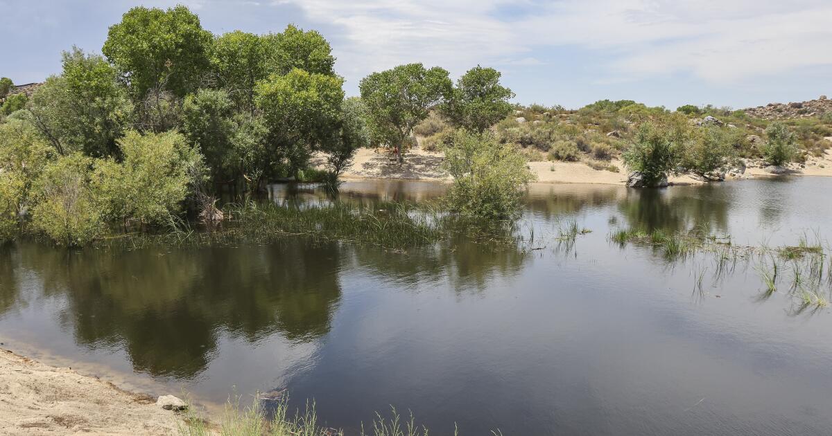 S.D. Union-Tribune tweet media