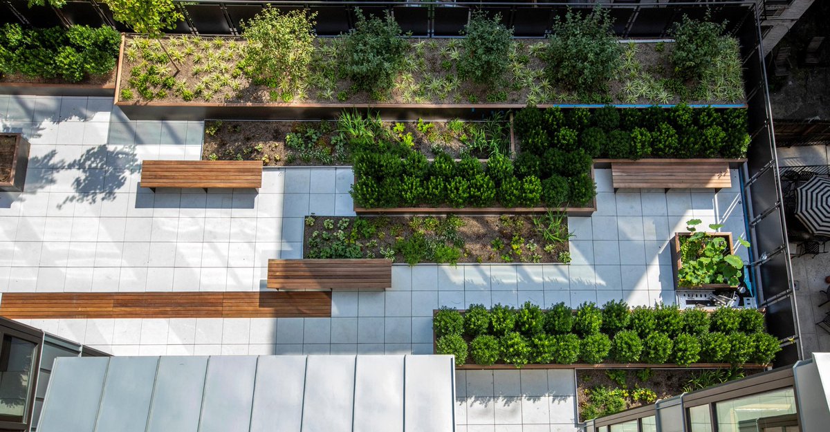 JMDLandscapes's tweet photo. From rooftop gardens and pocket parks, to mid-floor terrace greenscapes and lush courtyards, the John Mini team builds some of the most beautiful commercial landscapes in the city.

https://t.co/wqmQ9fg98z
——
#JohnMini #over50years #urbanlandscapes #rooftopgardens #newyorkcity https://t.co/0nIfhpW4IC