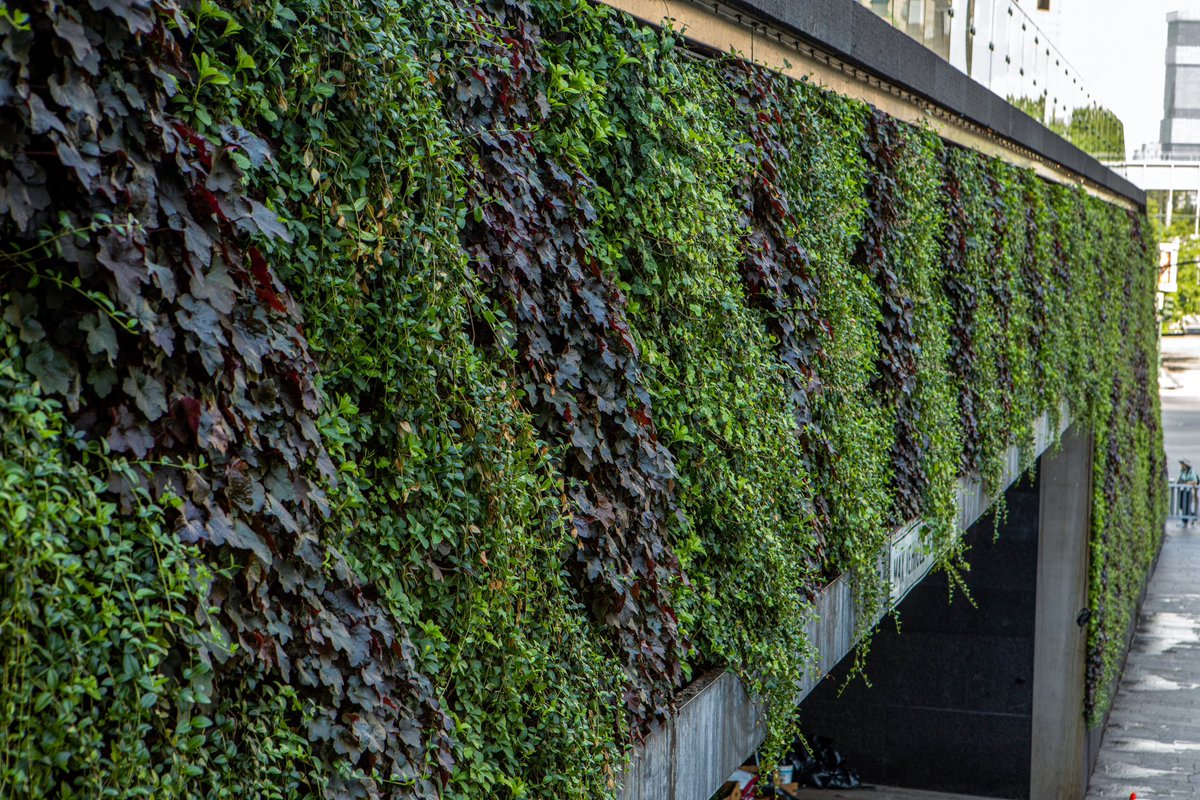 JMDLandscapes's tweet photo. From rooftop gardens and pocket parks, to mid-floor terrace greenscapes and lush courtyards, the John Mini team builds some of the most beautiful commercial landscapes in the city.

https://t.co/wqmQ9fg98z
——
#JohnMini #over50years #urbanlandscapes #rooftopgardens #newyorkcity https://t.co/0nIfhpW4IC