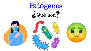TEPETATES53's tweet image. #PATOGENOS:agente o entidad biológica que sea capaz de provocar infección,enfermedad en un huésped.microorganismos #PAN,#PRI,#PRD del cuerpo POLITICO están relacionados con muchos problemas de salud POLITICA.como la diabetes POLITICA, 0bes¡dadPOLITICA,