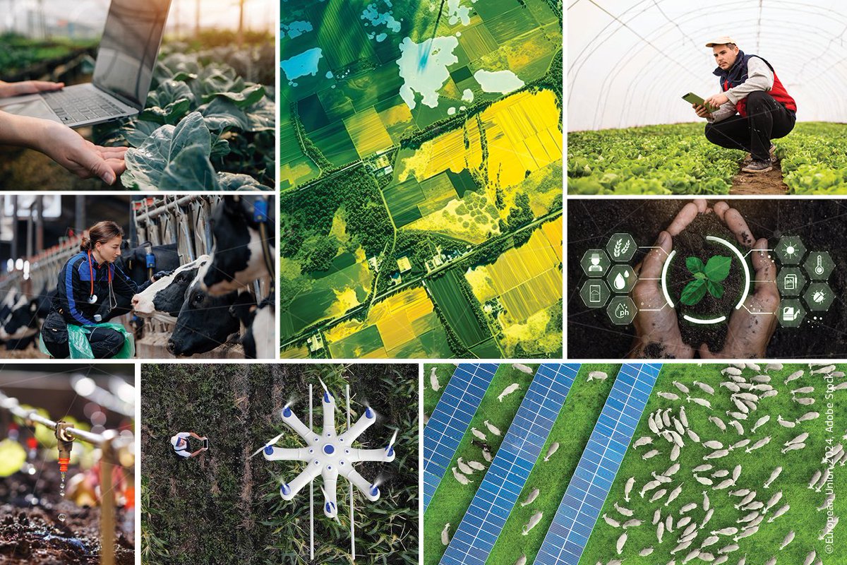 Interested in how 🇪🇺🤝🇺🇸 can work together to empower our #rural areas?

Sign up for the upcoming online event on
Empowering Rural Areas: The Role of Rural Investments in Accelerating Climate Resilience.

📅18 June

Check the website to register✍️ europa.eu/!W3crKq