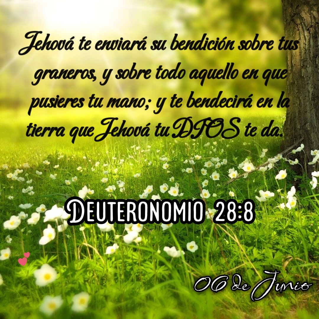 Arideylis's tweet photo. DIOS lo es Todo! https://t.co/Pou6aNP3hM